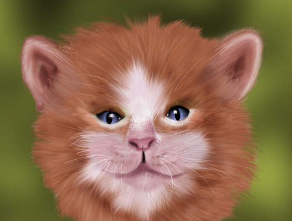 realistic-cat-fur